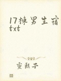 17栋男生宿舍txt