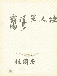 霸道军人攻现代肉多