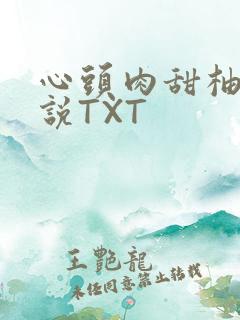 心头肉甜柚子小说TXT