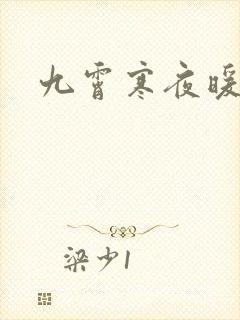 九霄寒夜暖小说