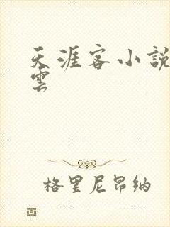 天涯客小说百度云