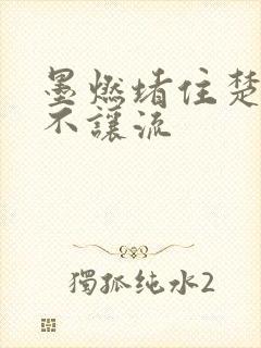 墨燃堵住楚晚宁不让流