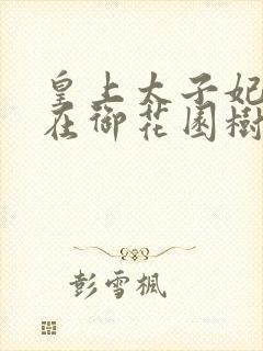 皇上太子妃沈音在御花园树上