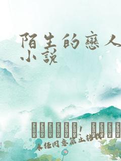 陌生的恋人原著小说