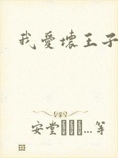 我爱坏王子