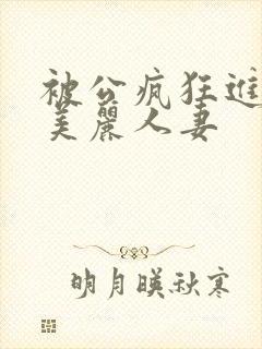 被公疯狂进入的美丽人妻