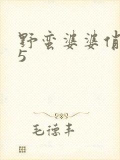 野蛮婆婆俏媳妇5