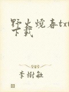野火烧春txt下载