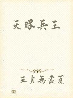 天眼兵王