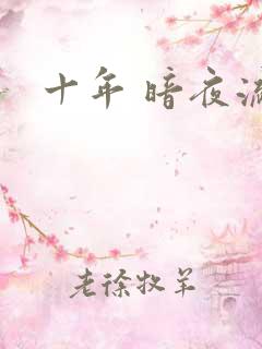 十年 暗夜流光