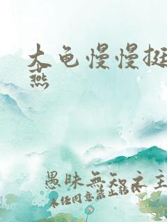 大龟慢慢挺进张燕