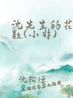 沈先生的花式调数(小非)