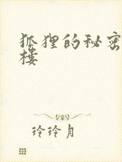 狐狸的秘密19楼