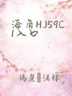 海角HJ59C1入口