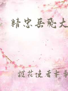 精忠岳飞大结局