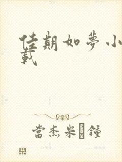 佳期如梦小说下载