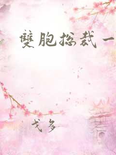 双胞总裁一个妻