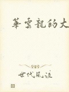 华云龙的大宝贝