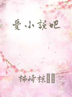 爱小说吧
