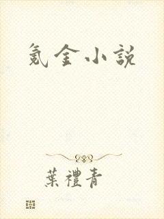 氪金小说
