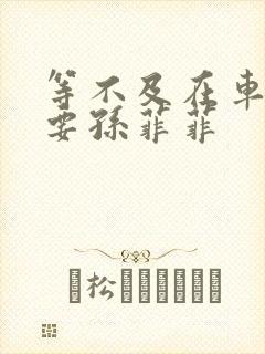 等不及在车里就要孙菲菲