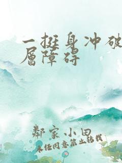 一挺身冲破了那层障碍