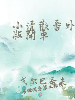 小清欢番外完整版开车