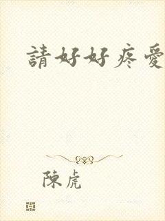 请好好疼爱里面