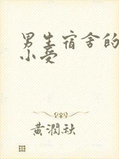 男生宿舍的公共小受