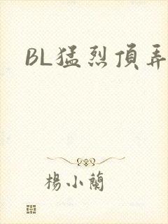 BL猛烈顶弄H