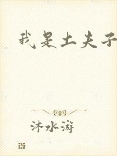 我是土夫子