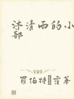 沐清雨的小说全部