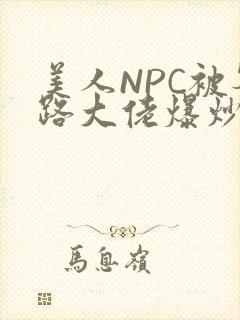 美人NPC被各路大佬爆炒小说