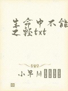 生命中不能承受之轻txt