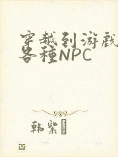 穿越到游戏里和各种NPC