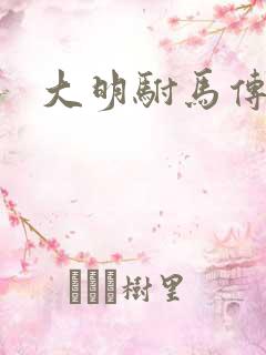 大明驸马传