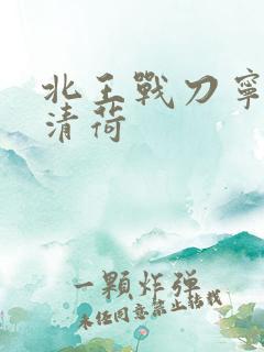 北王战刀宁北苏清荷