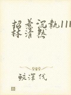 招惹沉执11H林清然