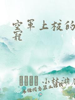 空军上校的邪魅宠