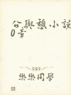 公与憩小说400章