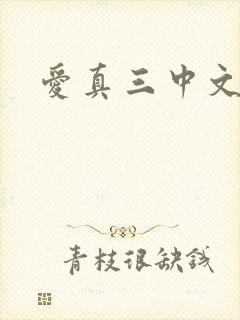 爱真三中文网