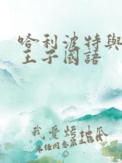 哈利波特与混血王子国语