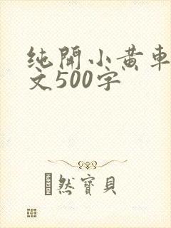 纯开小黄车小短文500字