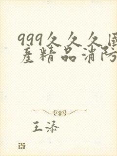 999久久久国产精品消防器材