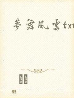 梦舞风云txt