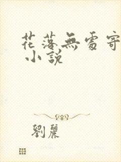 花落无处寄相思 小说