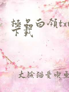 极品白领txt下载