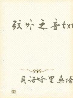 弦外之音txt