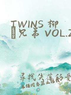 TWINS 柳澤兄弟 VOL.2