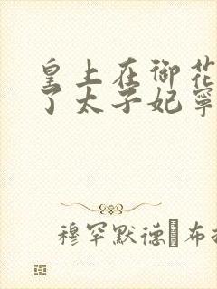 皇上在御花园C了太子妃宁儿